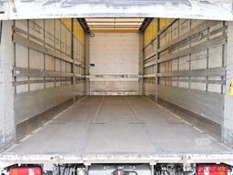 Scania R490  6x2 E6 Retarder LBW Alufelgen TL AHK 2,8m