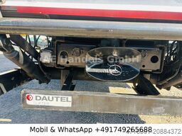 MAN TGL 8.220 C BL P+P 4x2*LBW/Tautliner/AHK/AirPipe