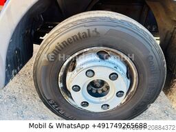 MAN TGL 8.220 C BL P+P 4x2*LBW/Tautliner/AHK/AirPipe