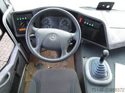 ALGA auf Mercedes-Benz Chassis/Nur Export!