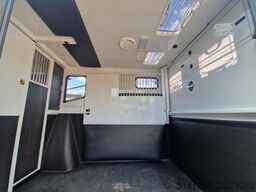 Renault Master MTM S3 EXCLUSIVE ! Nieuw model paardenwa...