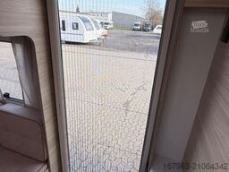 STERCKEMAN 475CP Open Edition `26