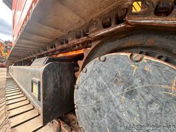 Doppstadt DW3060K Büffel/TypF/Selector/Schredder