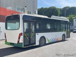 VAN HOOL New A308 | Midi Niederflur Klima