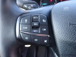 FORD Nugget 170PS Autm. Bi-Xenon Markise AHK ACC