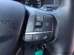 FORD Nugget 170PS Autm. Bi-Xenon Markise AHK ACC