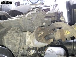 MAN TGX 18.460 TGX 4X2 NL-Truck APK 06-2026 Mega Re...