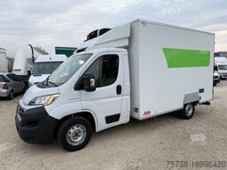 FIAT Ducato 2,3 150 Tiefkühlkoffer/Trennwand/Carrier