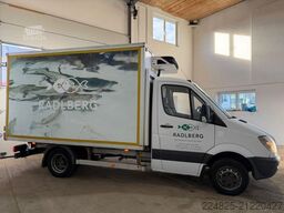 MERCEDES-BENZ SPRINTER 516 CDI TIEFKÜHLKOFFER*2009*1HAND*EURO5