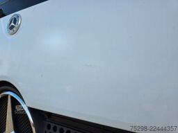 MERCEDES-BENZ Atego 1224 / Euro: 6E | Aluklappen | Ladebordwa