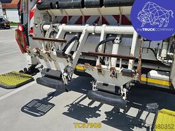 Scania P 320
