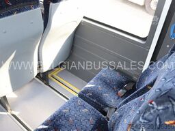 Mercedes VARIO