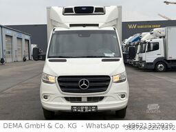 MERCEDES-BENZ Sprinter 519*E6d*Schalt*Carrier*Klima*Trennwand*