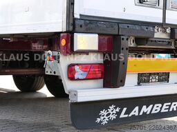LAMBERET LVFS2 Kühlkoffer Carrier Vector 1550