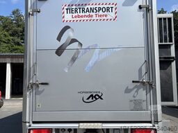 Volvo FM500AKX Pferdetransporter 8 Pferde