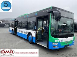 MAN A 21 Lion´s City