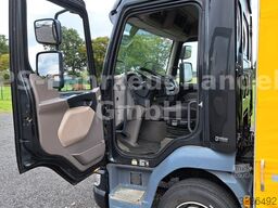 DAF LF 220 FA* 2x AHK* Schiebeplane*gepfl. Zustand