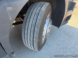 SCANIA P 94