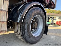 System Trailers WFA 18 WFA 18 Pritsche Plane