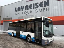 MAN A66 Lions's City M || Midi Low Entry