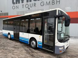 MAN A66 Lions's City M || Midi Low Entry