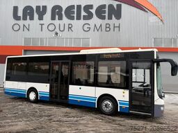 MAN A66 Lions's City M || Midi Low Entry