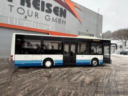 MAN A66 Lions's City M || Midi Low Entry