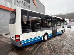 MAN A66 Lions's City M || Midi Low Entry