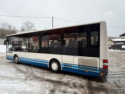 MAN A66 Lions's City M || Midi Low Entry