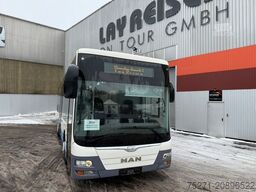 MAN A66 Lions's City M || Midi Low Entry