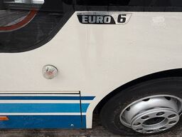 MAN A66 Lions's City M || Midi Low Entry