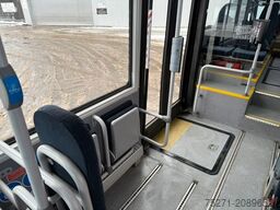 MAN A66 Lions's City M || Midi Low Entry