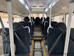 MAN A66 Lions's City M || Midi Low Entry