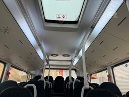 MAN A66 Lions's City M || Midi Low Entry