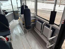 MAN A66 Lions's City M || Midi Low Entry