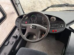 MAN A66 Lions's City M || Midi Low Entry