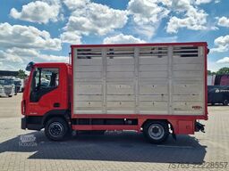 Iveco Eurocargo 75.190 - Finkl Livestock 1 deck - 9.0...