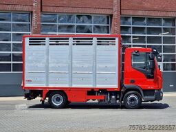 Iveco Eurocargo 75.190 - Finkl Livestock 1 deck - 9.0...