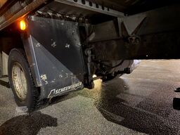 MAN LE 12.220 E3 PRITSCHE PLANE LBW BLATT LUFT