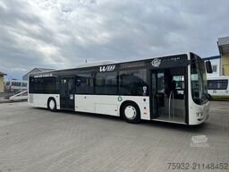MAN A 20  Citaro Ü  KLIMA  EEV  nice  GURTE