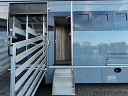 MAN 12 250 5 Pferde Pop-Out