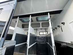 MAN 12 250 5 Pferde Pop-Out