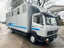 Mercedes-Benz 814 L 4 Pferde