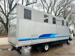 Mercedes-Benz 814 L 4 Pferde