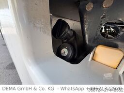 SCHMITZ CARGOBULL SCBS3B*Rohrbahnen*Palettenkasten*Meet*Fleisch*