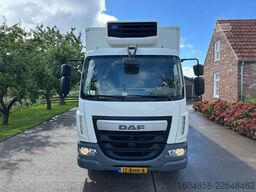 DAF LF 250 FA / NL TRUCK / EURO 6 / CARRIER XARIOS ...