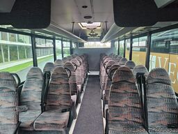 Iveco Bus TRIVIANO