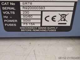 Road Birds Road Birds Road Birds