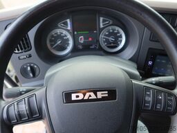 DAF LF 230 FA Bak +Dhollandia 1500 Kg klep + rolstops