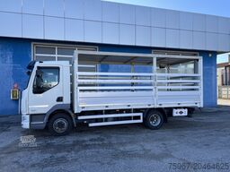 DAF LF 230